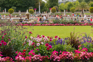 Group of different beautiful and colorful flowers in a garden