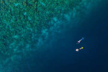 A couple snorkelling in the Maldives near a reef
