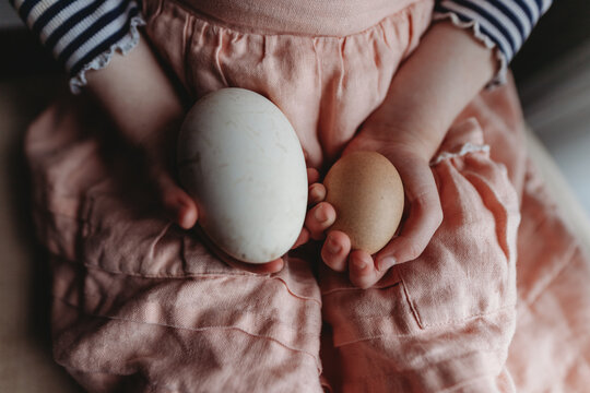 Chicken and goose egg