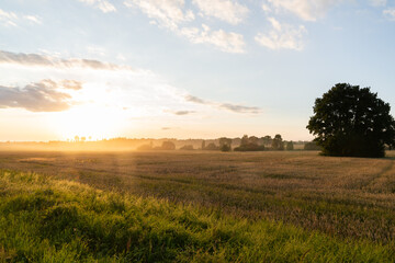 Field During Sunset