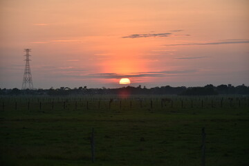 Atardecer en los llanos de Colombia