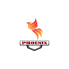 Phoenix logo template  Fire-bird  Eagle logo