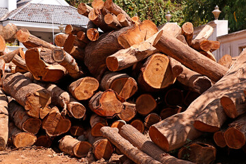 Stacked of rubber wood or parawood log for construction buildings background and texture