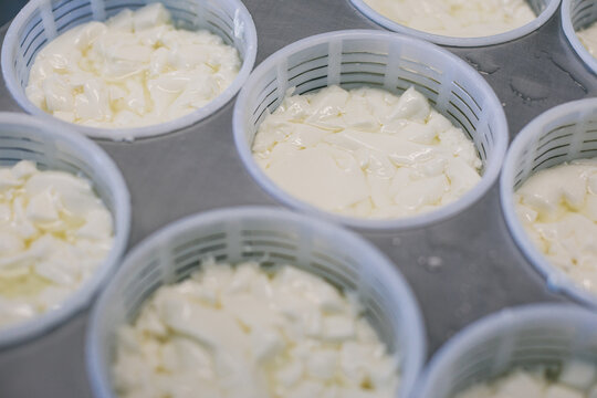 Containers with curd at factory