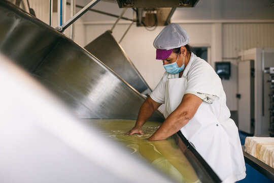 Woman working at cheesemaking factory