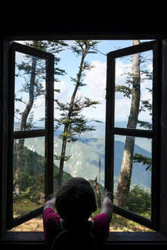Window Into Nature