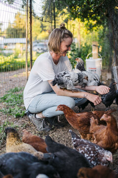 Woman spending time with laying chickens on farm