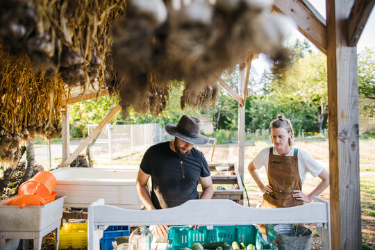 Farmer couple working together in shed