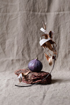 Fig and leaf