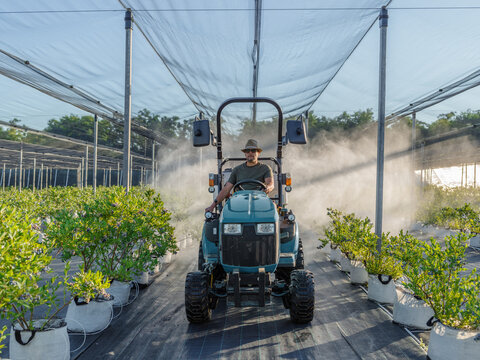 Man driving tractor and watering sprouts