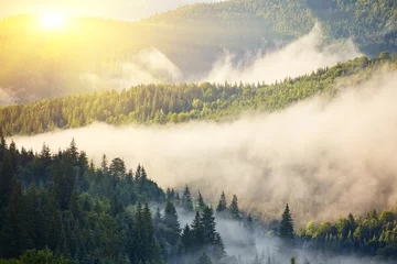 Glasschilderij Mistig bos Landschap met mist in de bergen
