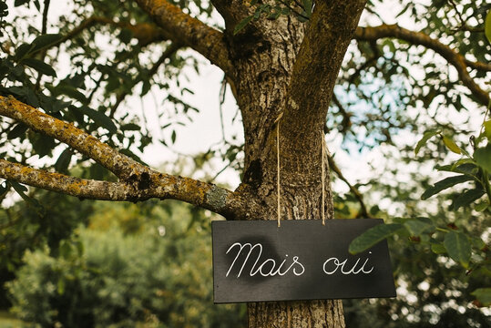 sign 'mais oui' hanging in a tree