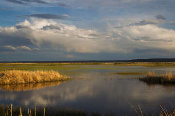 Fototapeta na wymiar Spring storm over wetland