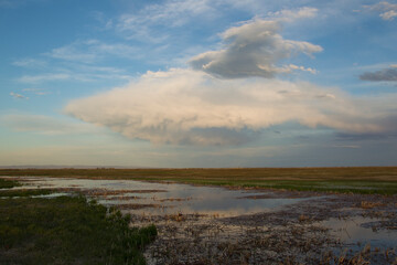 Fototapeta na wymiar Spring storm clouds over wetland