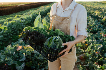 Farmer carrying box with fresh greens in field