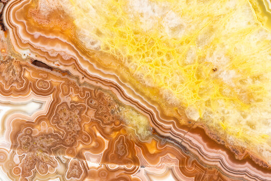 Crazy Lace Agate Background