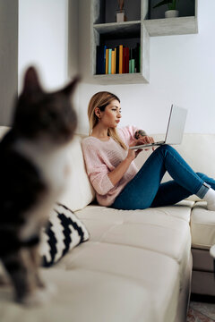 Woman using a pc on the sofa with the cat