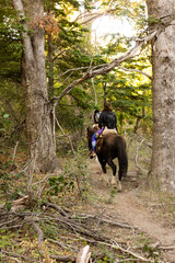 people on horseback in the forest