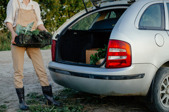 Female farmer delivering fresh organic vegetables in car