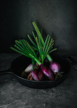 Still life of purple onions