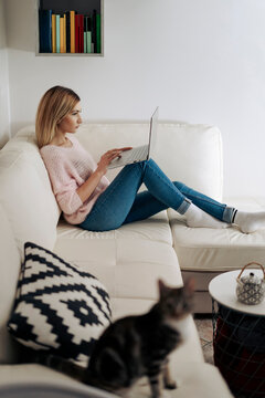 Woman using a computer on the sofa while the cat relax