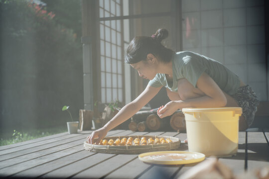 A Japanese Woman Making Ume-boshi, Salted Plums