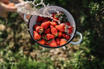 Washing fresh strawberries