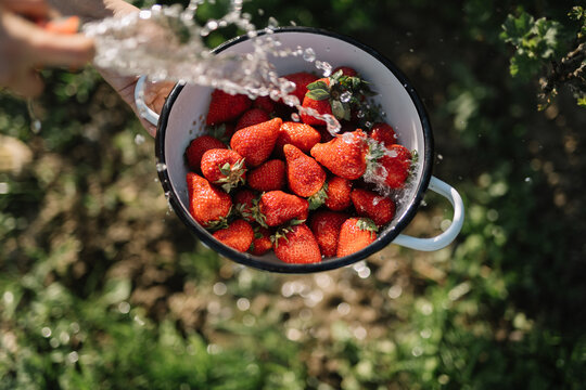 Washing fresh strawberries