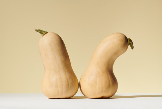 Two Butternut Squash in Still Life