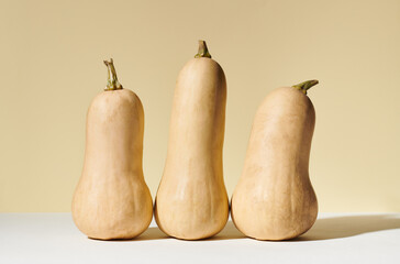 Three Butternut Squash in Still Life