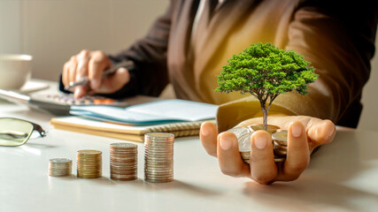 The concept of investment success, a growing tree in the hands of a businessman.