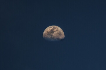 moon in the sky