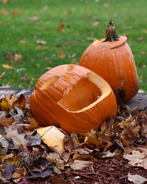 Old Rotten Jack-O-Lantern Halloween Pumpkin on Ground