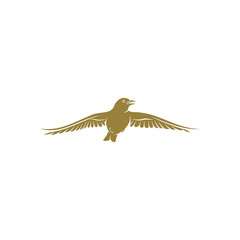 Lark bird design vector illustration, Creative Lark bird logo design concepts template, icon symbol