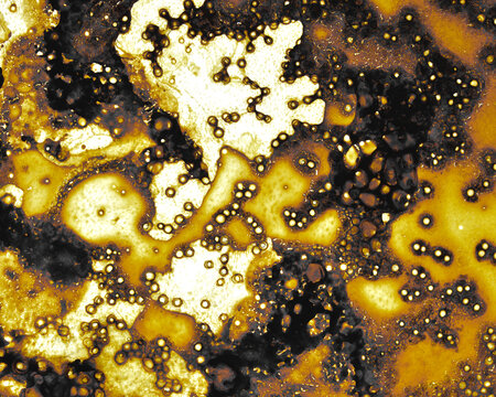 Patterns in residue of glass pan after cooking pork