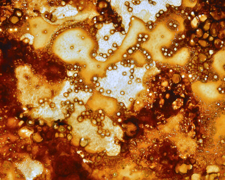 Patterns in residue of glass pan after cooking pork