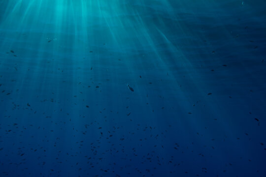 Underwater surface of the sea