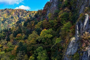 ちょうど見頃の豊平峡の紅葉情景＠北海道