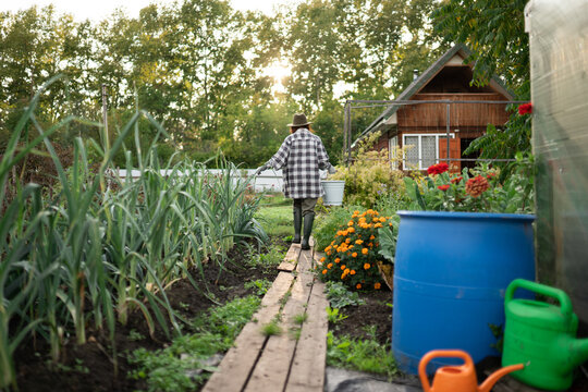 senior woman took water in a bucket and carried to water the garden
