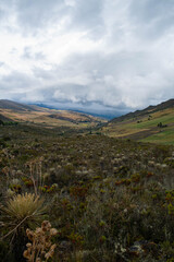 landscape with mountains