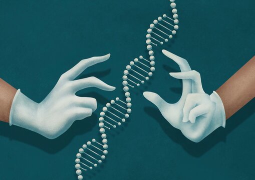 A geneticist is holding a DNA molecule in his hands and trying to figure out its structure.