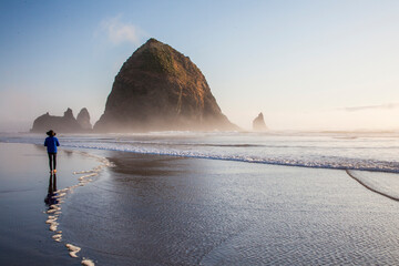 USA, Oregon Cannon Beach with Haystack rock and visitor looking out at the scene © Danita Delimont