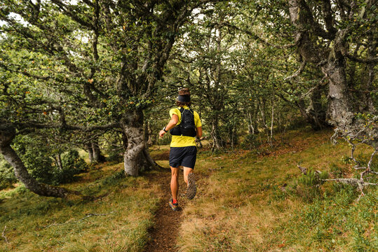 Man running on mountain trail during fall