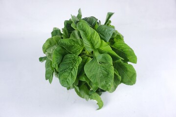 spinach