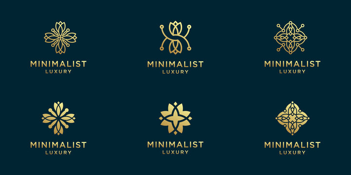 Set of abstract flower logo design