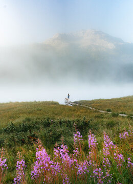 A girl with her dog taking a walk in the mountain valley
