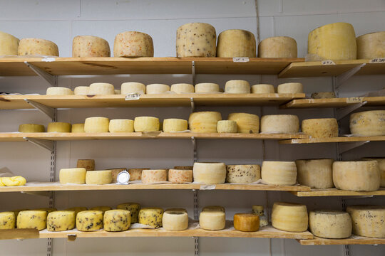 Aging Cheese in Storage