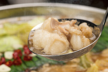 ぷりぷりホルモンの博多もつ鍋