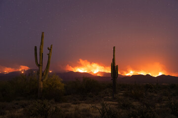 Wildfire at night in the Arizona desert