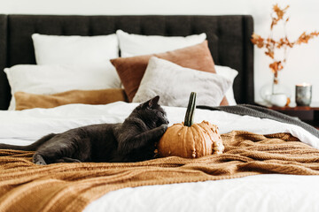 Fall bedroom